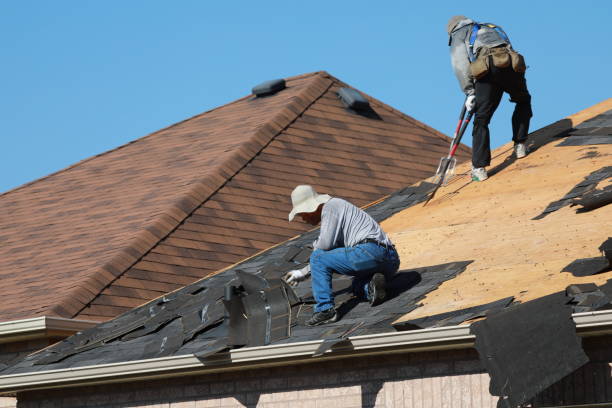 Best Roof Leak Repair  in USA